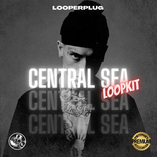 [FREE] 🎹 🎤 LOOPERPLUG - CENTRAL SEA LOOPKIT